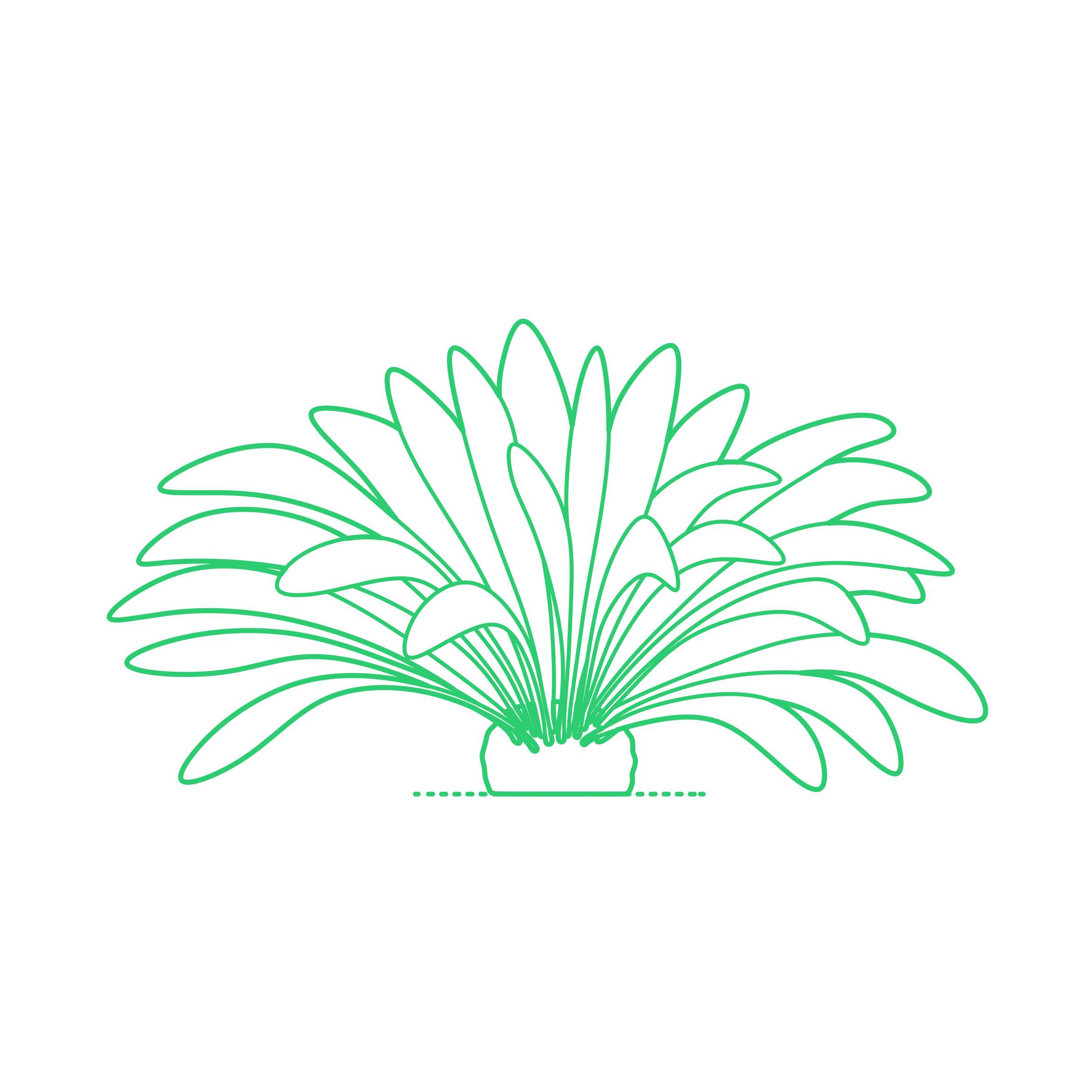 Plants Cycads Burrawang Sticker Outline Svg File Free Vectors